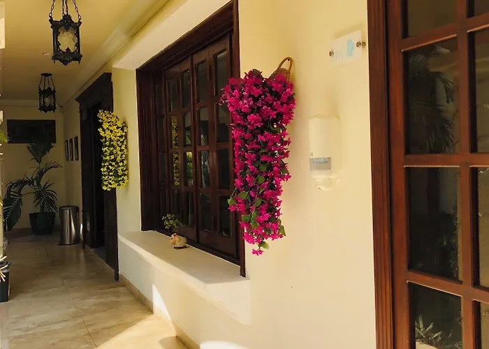 Boutique Segovia Bed & Breakfast Cozumel